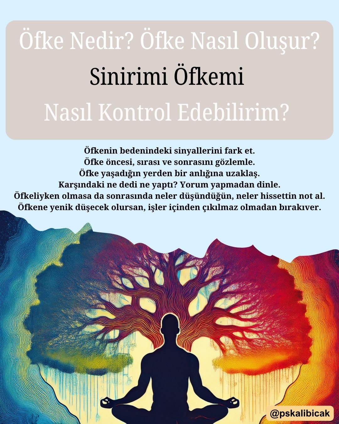 Öfke kontrolü, öfke yönetiminde yaşanılan zorlukları aşmada karşılaşılan güçlükleri tarif eder. Duygularımızı nasıl yönetiriz? Öfke duygusunu her zaman sağlıklı bir şekilde kanalize edemeyiz.